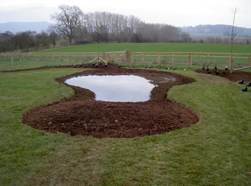 The pond under construction